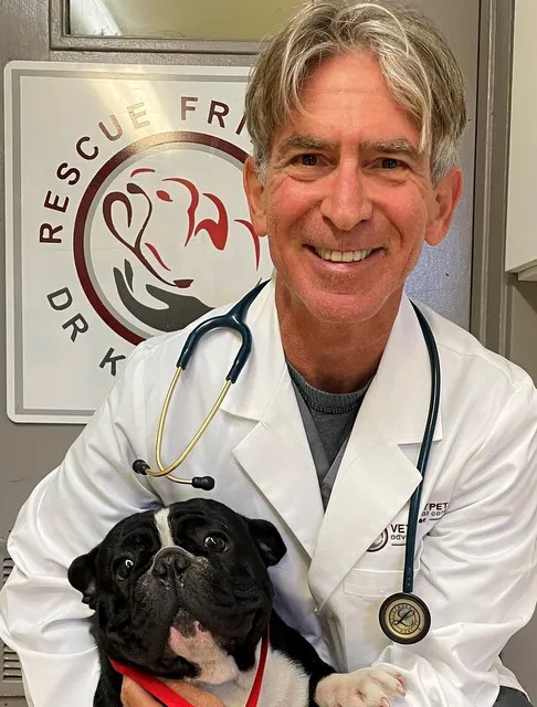 Vet4Bulldog Picture 1