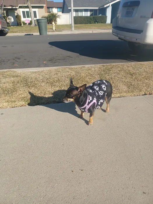 Stanton Pet Hospital Picture 4