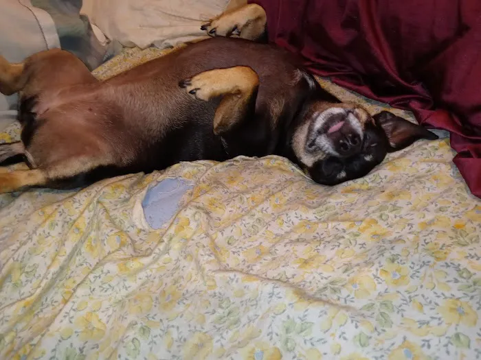 Stanton Pet Hospital Picture 2