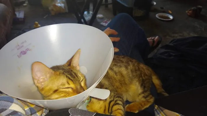 Stanton Pet Hospital Picture 5