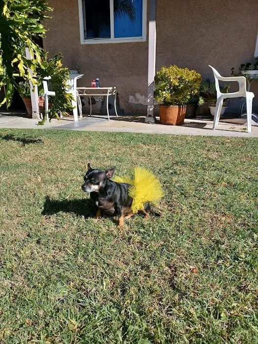 Stanton Pet Hospital Picture 7