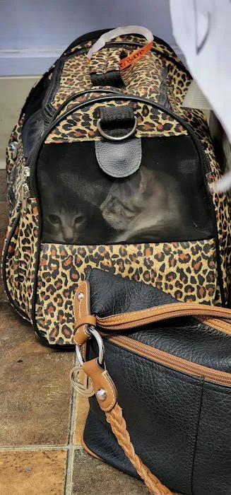 Brookhaven Pet Hospital Picture 6