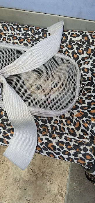 Brookhaven Pet Hospital Picture 9