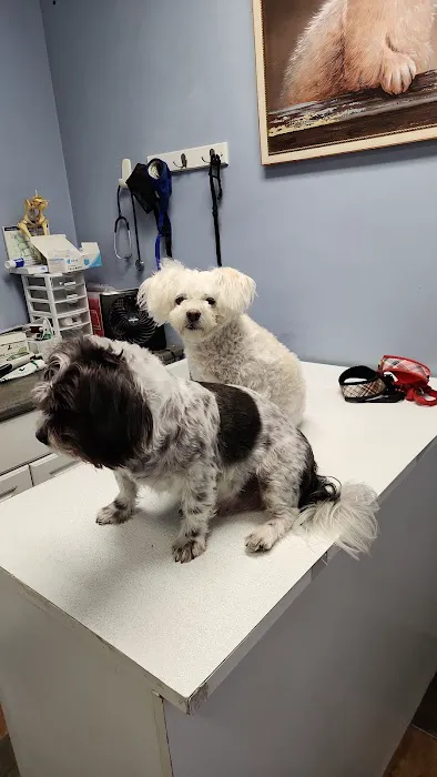 Brookhaven Pet Hospital Picture 10