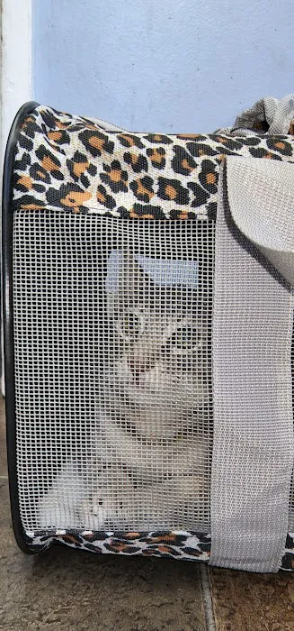 Brookhaven Pet Hospital Picture 7