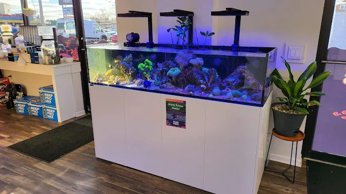 Frags 2 Fishes Picture 5