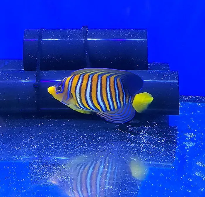 Frags 2 Fishes Picture 8