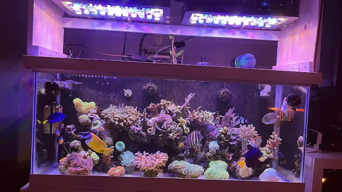 Frags 2 Fishes Picture 2