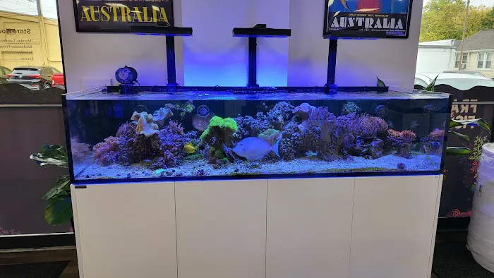 Frags 2 Fishes Picture 1