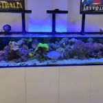 Frags 2 Fishes