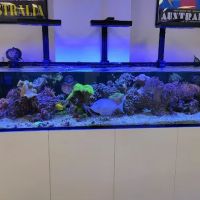 Frags 2 Fishes ico