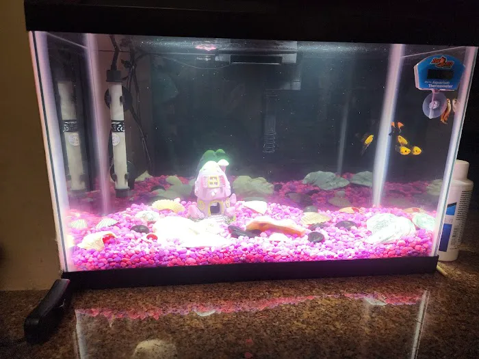 William's Greenbank Aquarium Inc Picture 8