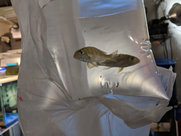 William's Greenbank Aquarium Inc Picture 10