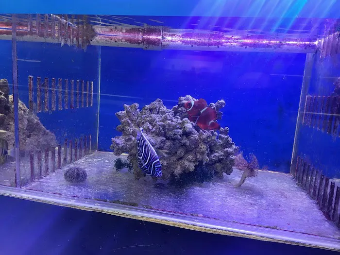 William's Greenbank Aquarium Inc Picture 5