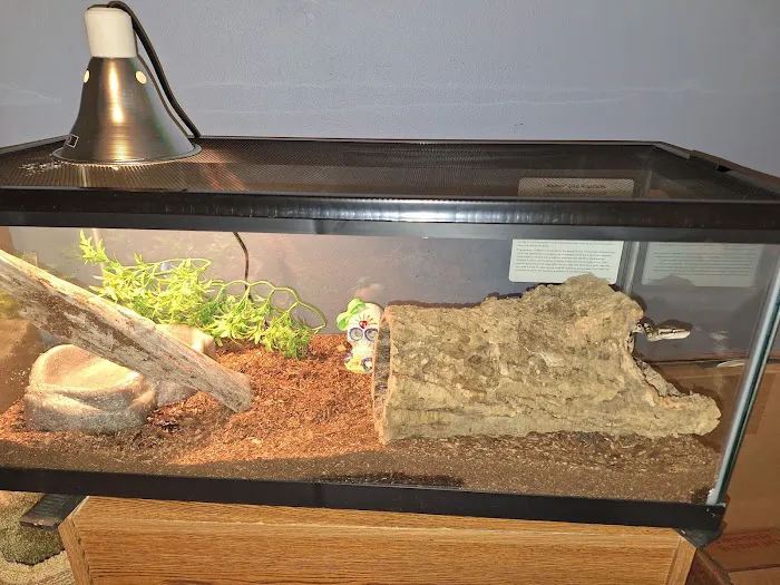 William's Greenbank Aquarium Inc Picture 6