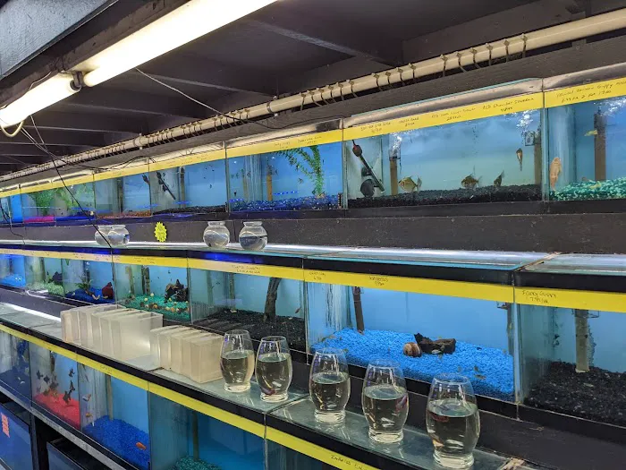 William's Greenbank Aquarium Inc Picture 1