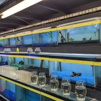 William's Greenbank Aquarium Inc ico