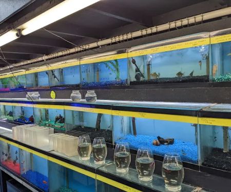 William's Greenbank Aquarium Inc