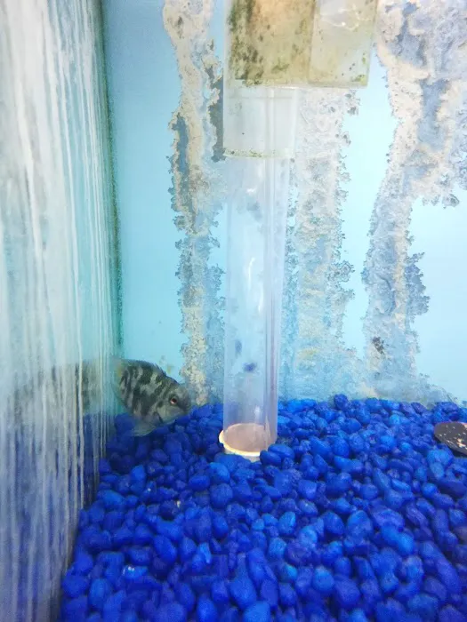 William's Greenbank Aquarium Inc Picture 7