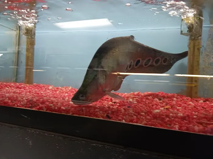 William's Greenbank Aquarium Inc Picture 9