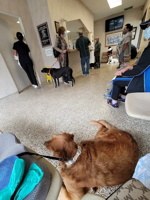 Garden Grove Dog and Cat Hospital Picture 6