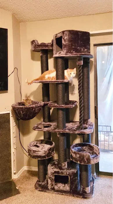 Cozy Cat Furniture Picture 2