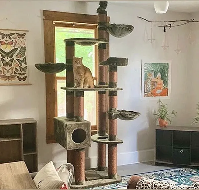 Cozy Cat Furniture Picture 1