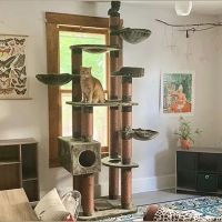 Cozy Cat Furniture ico