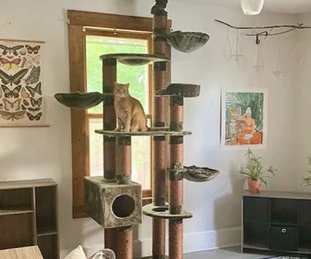 Cozy Cat Furniture