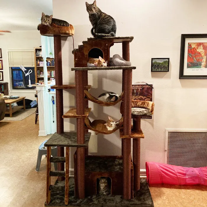 Cozy Cat Furniture Picture 7