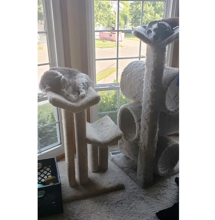 Cozy Cat Furniture Picture 10