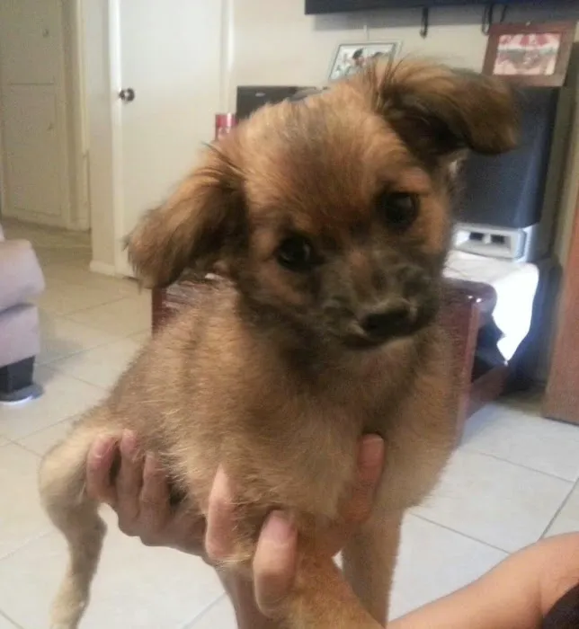 Boulevard Animal Hospital Picture 6