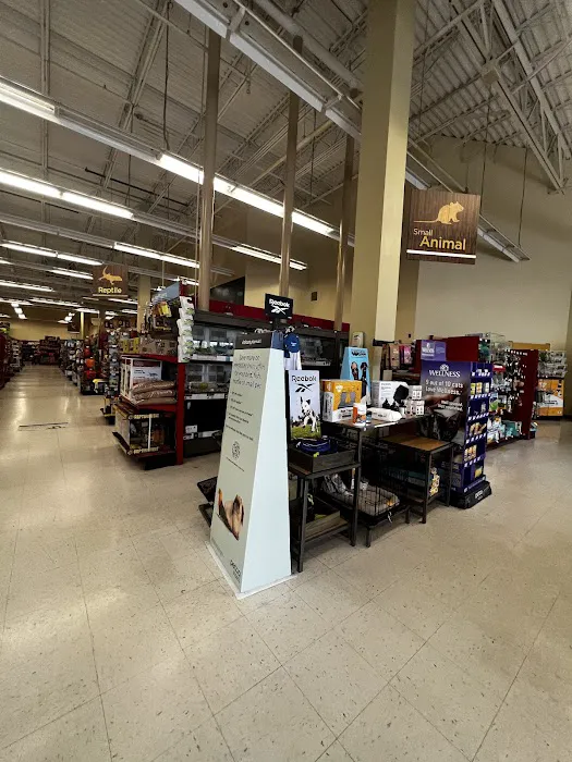 Petco Picture 2