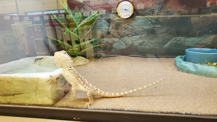Petco Picture 4