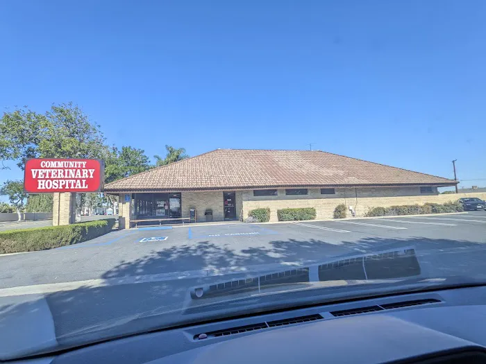 Community Veterinary Hospital Picture 6