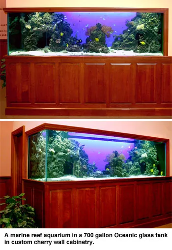 Armco Aquatics Picture 4