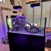 Armco Aquatics ico