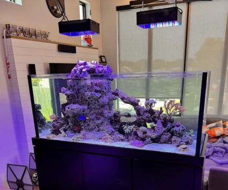 Armco Aquatics