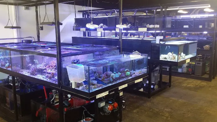 Armco Aquatics Picture 8