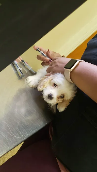 Animal Discount Clinic Picture 5