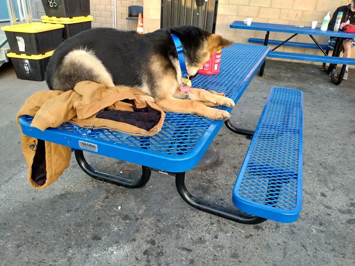 Animal Discount Clinic Picture 10