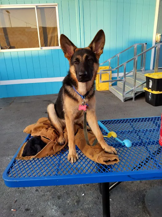 Animal Discount Clinic Picture 6