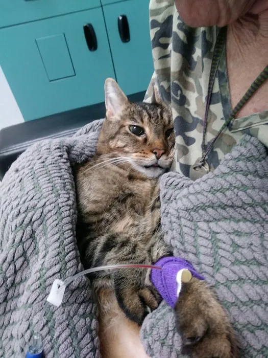 Orange County Emergency Pet Clinic Picture 1