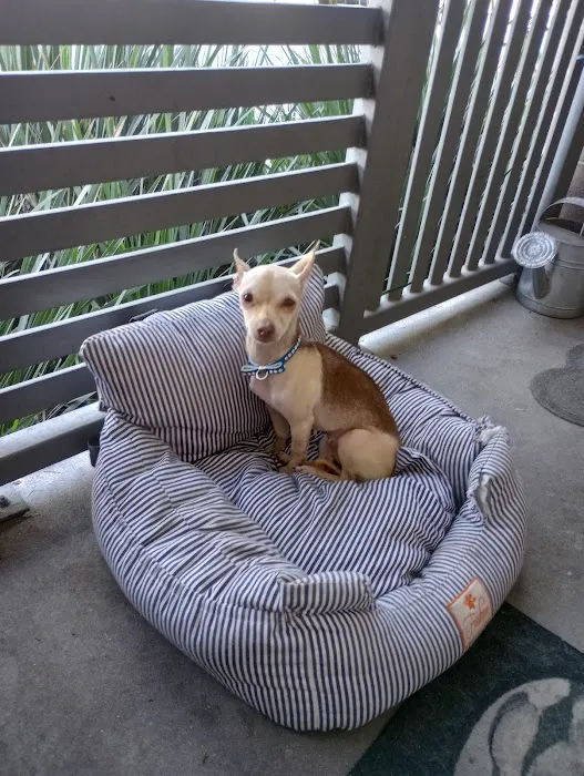 Orange County Emergency Pet Clinic Picture 5