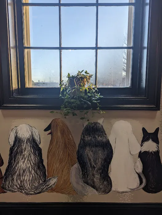 Endless Wags Picture 1