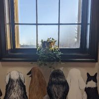 Endless Wags ico