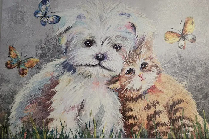 Bristol Memory Animal Clinic Picture 4