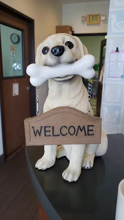 Bristol Memory Animal Clinic Picture 10
