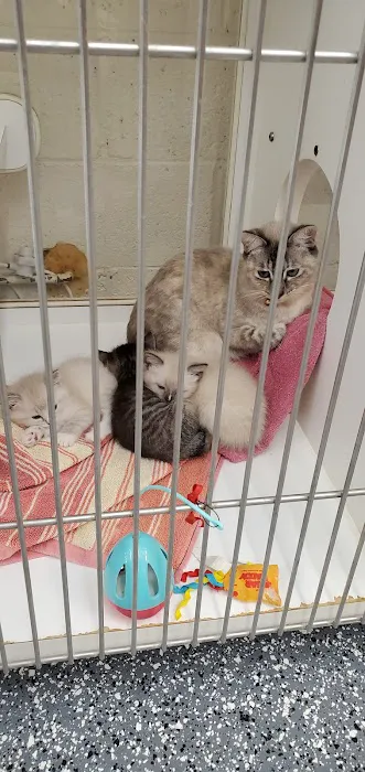 Metropolitan Veterinary Hospital Picture 2