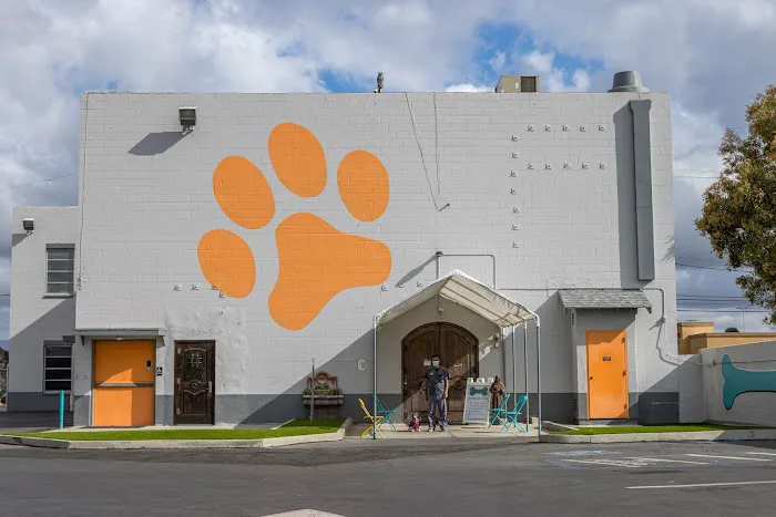 Grand Pet Care Center Picture 6